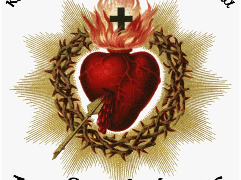 Who are you sharing your foxhole&nbsp;with?